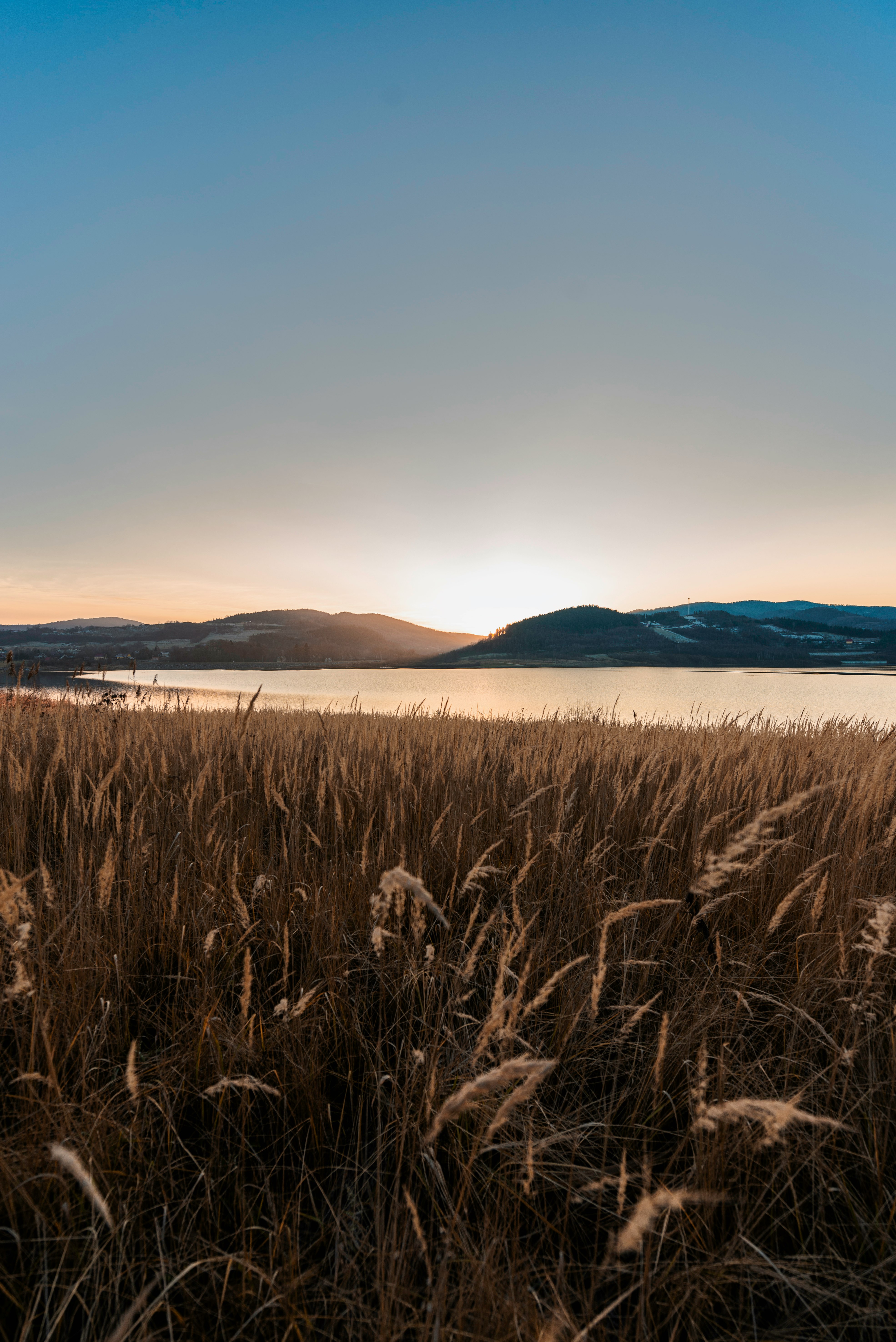 brown grass field near body of water during daytime